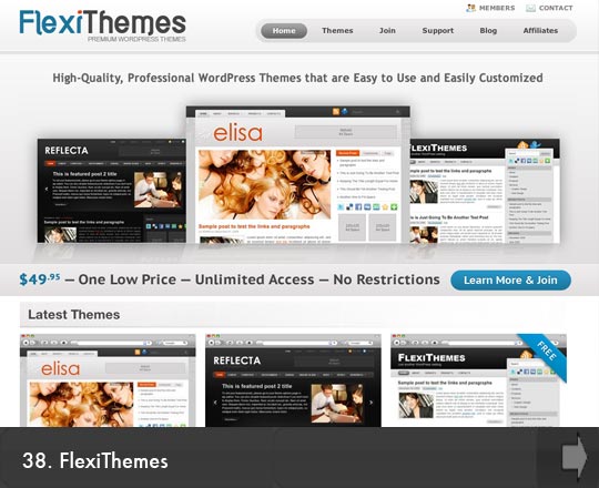 38 FlexiThemes