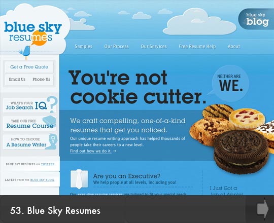 53 Blue Sky Resumes